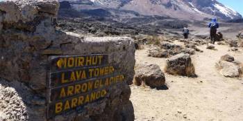 6 Days Lemosho Route Mount Kilimanjaro Trekking Tour
