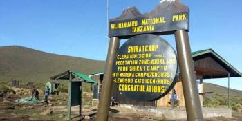 7 Days Shira Route Mount Kilimanjaro Trekking Tour