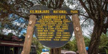 8 Days Northern Circuit Route Mount Kilimanjaro Trekking Tour