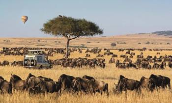 5 Days Maasai Mara - Lake Nakuru And Lake Naivasha Tour