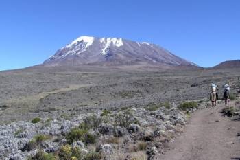 7 Days Mount Kilimanjaro Marangu Route Tour