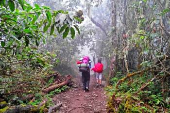 8 Days Mount Kilimanjaro Machame Route Tour