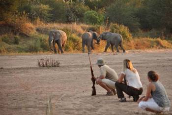 8 Day Flying Safari Ruaha - Selous Tour By Air