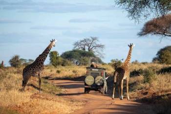 10 Days tour - Hakuna Matata Tanzania Safari