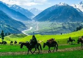 5 Nights - 6 Days Srinagar Tour Package