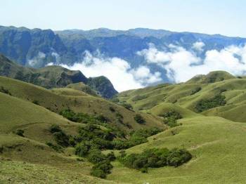 Mukurthi National Park Tour