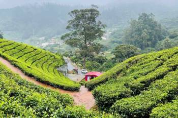 7 Nights - 8 Days Ooty Tour Package
