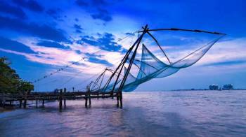 Munnar - Thekkady - Alleppey Tour