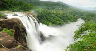 Munnar Hill Station Tour 2 Nights - 3 Days