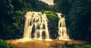 Wayanad - Ooty - Coorg And Mysore Grand Tour 6 Nights 7 Days