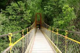 Wayanad - Coorg And Ooty Escape 5 Nights - 6 Days Tour