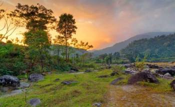 Dooars Itinerary For 6 Nights - 7 Days Tour