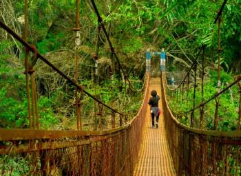 Discover North East 10 Nights - 11 Days Tour