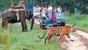 1N - 2D Amazing Jim Corbett Tour Package