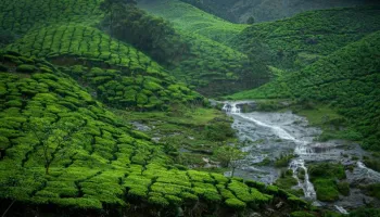 2N/3D Munnar Tour Package