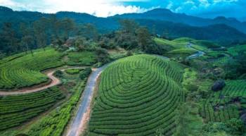 4N5D Kerala Package