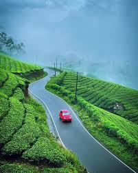 Kerala Package Munnar - Alleppey 3 Nights 4 Days