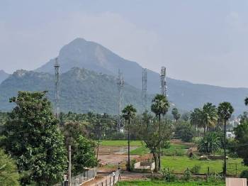 2 Nights/3 Days Package to Tiruvannamalai Image