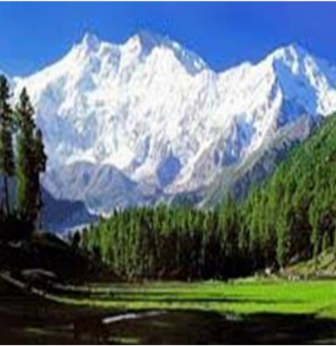 Jannat E Kashmir 07 Nights And 08 Days Tour