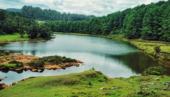 Bangalore - Mysore - Ooty - Kodaikanal Tour