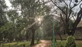 Bangalore To Mullayanagiri 2 Nights 3 Days Tour
