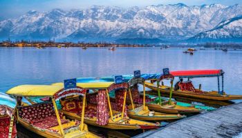 The Family Fun Trip Srinagar - Gulmarg