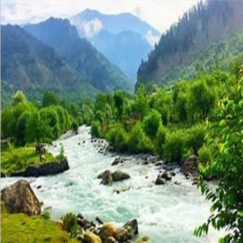 5 Nights 6 Days Kashmir Package