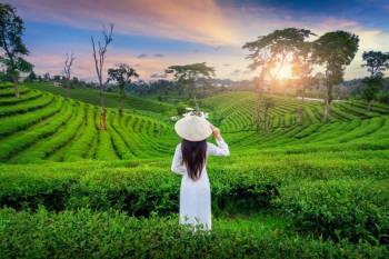 Stunning Vietnam Tour 10 Night