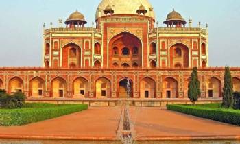 8 Days Golden Triangle With Jungle Safari Tour