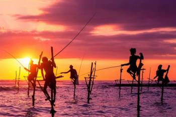 11 Days Discover - Thrill Sri Lanka Tour
