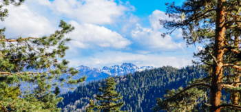 Georgia Escapade 7 Nights - 8 Days Tour