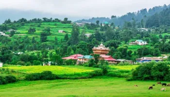 Kullu - Manali Tour Package 4 Nights - 5 Days