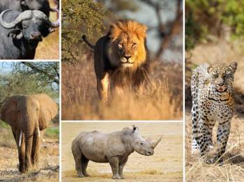 8 Days Of Zanzibar Safari Tour