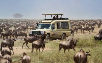 5 Days Fly In For Great Migration In Northern Serengeti And Ngorongoro Crater Tour