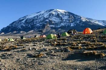 6 Days Kilimanjaro Trekking Via Umbwe Route Tour