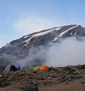 8 Days Kilimanjaro Trekking Via Lemosho Route Tour