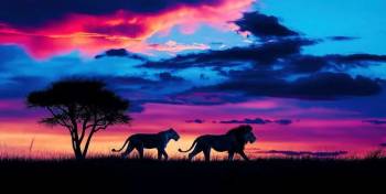 9-Days Wilderness Adventure Tour