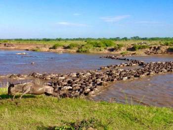 4-Day Kenya Safari Adventure Tour