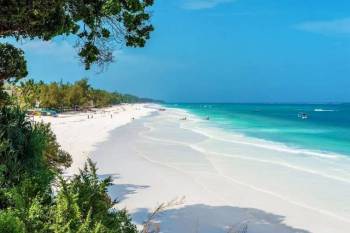 Kenya’s Coastal Gems - Discover Stunning Beaches Tour