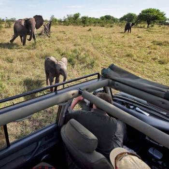 The Ultimate Kilimanjaro - Safari Adventure Tour