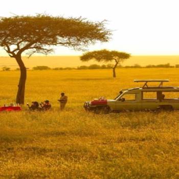 2 Days Ngorongoro Crater safari Tour