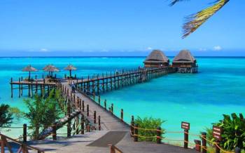 14-Day Ultimate Tanzania Safari - Zanzibar Adventure Tour
