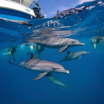 8 Days Zanzibar Complete Discovery Tour