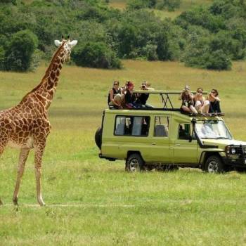 Arusha National Park Day Trip