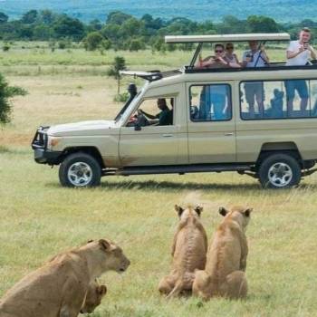 Tarangire National Park Day Trip