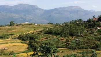 5 Days Kanthalloor - Marayoor - Munnar - Vattavada Tour