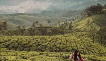 3 Days Munnar Tour Package