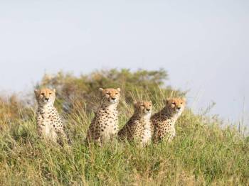Amboseli National Park