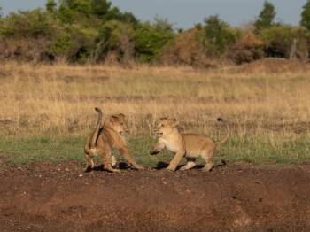 Lake Nakuru & Lake Naivasha National Parks