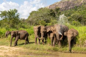 3-Day Amboseli National Park Safari - Land Cruiser Tour